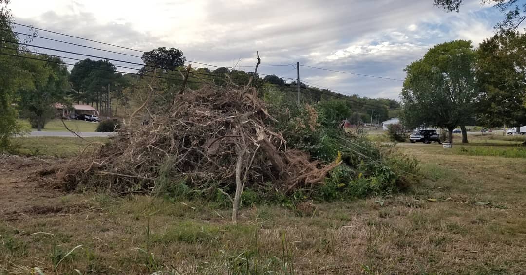 72304324_736978000104025_5564707160824217600_o