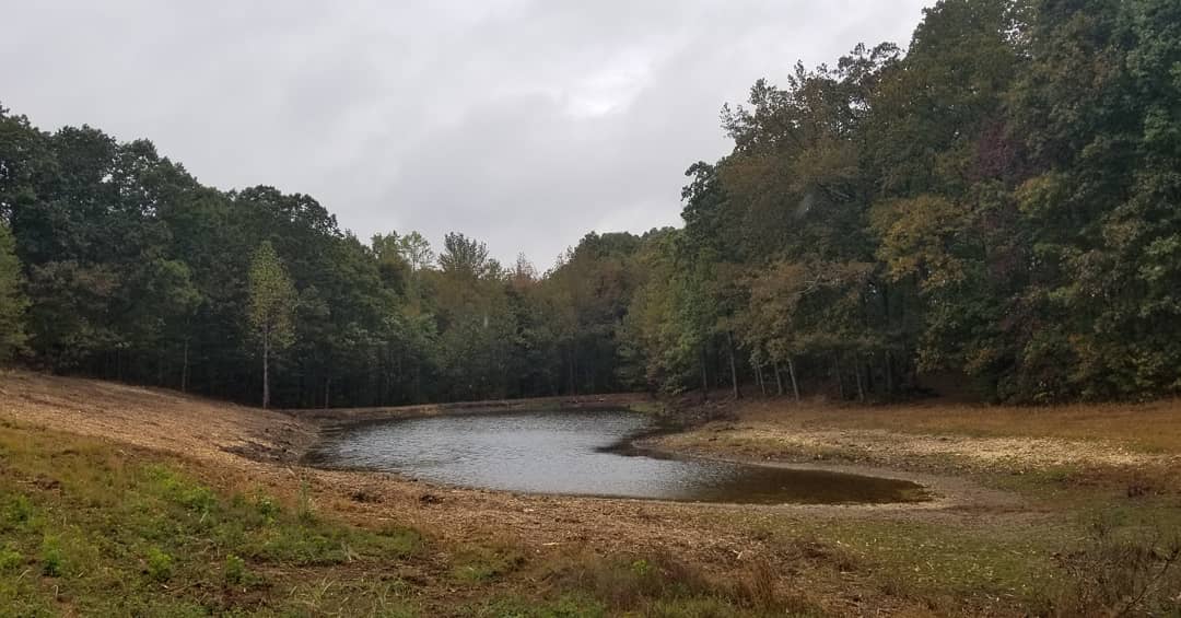 72982368_744535589348266_8242687319342055424_o